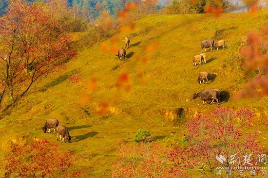 5Z0A6116 拷貝.jpg.jpg