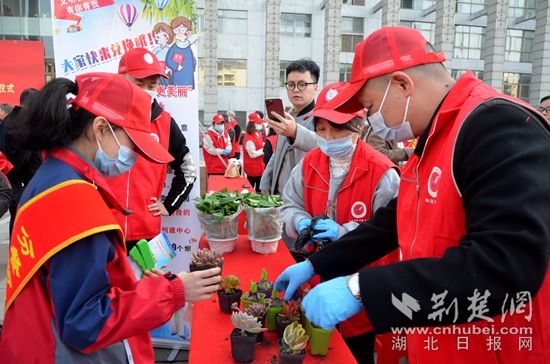 煙頭換綠植 (2).jpg.jpg