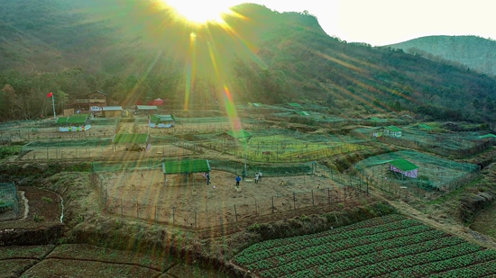 最美白雉山 羅 琳 攝.jpg