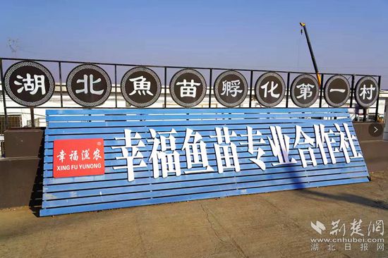 6、湖北魚苗第一村_副本.jpg
