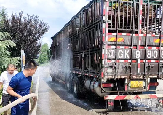 眼見一車生豬被救，長(zhǎng)途司機(jī)李師傅終于松了口氣 (2)_副本.jpg