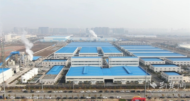 園區(qū)企業(yè)。記者 魯偉龍 攝.webp.jpg