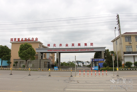 國家級(jí)重點(diǎn)龍頭企業(yè)  康宏糧油.jpg