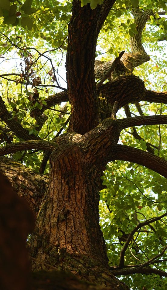 新建文件夾 (2)IMG_4132(20221002-154015).jpg.jpg