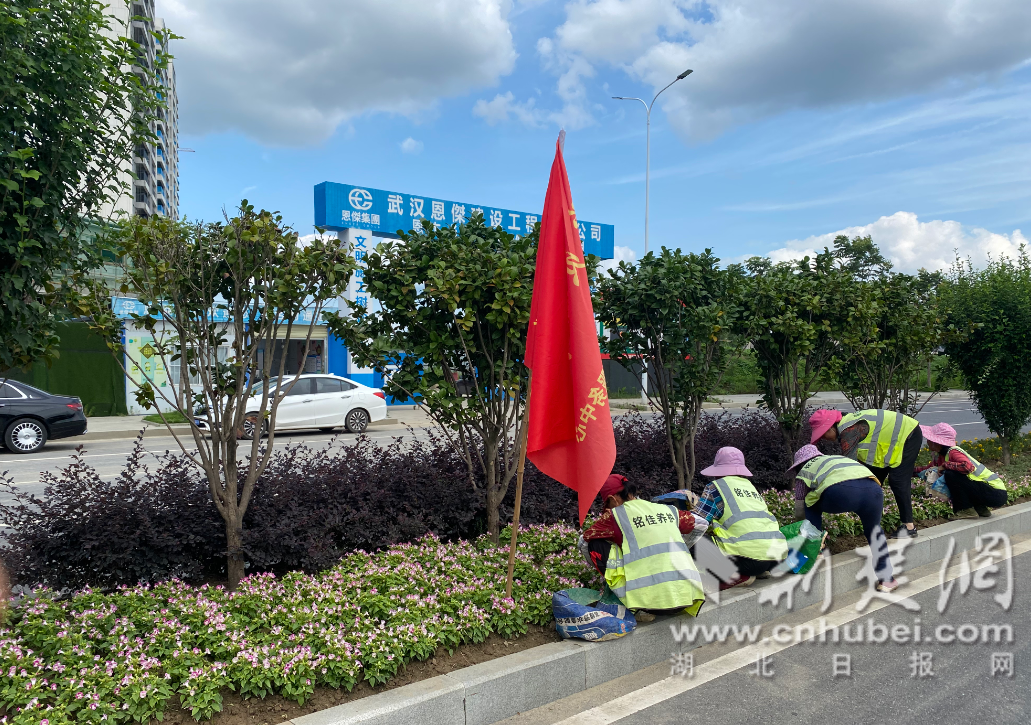 0b07dbaf69d77e7287921f5261b81c0f_1031X725_20230831142601