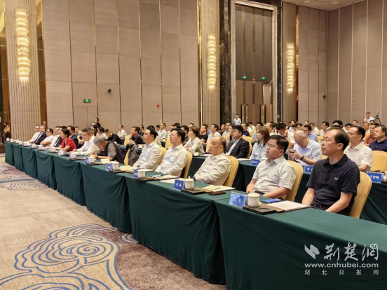 e30816cbddcdc1881f1428abe9146e6b_552X414_20230915173003