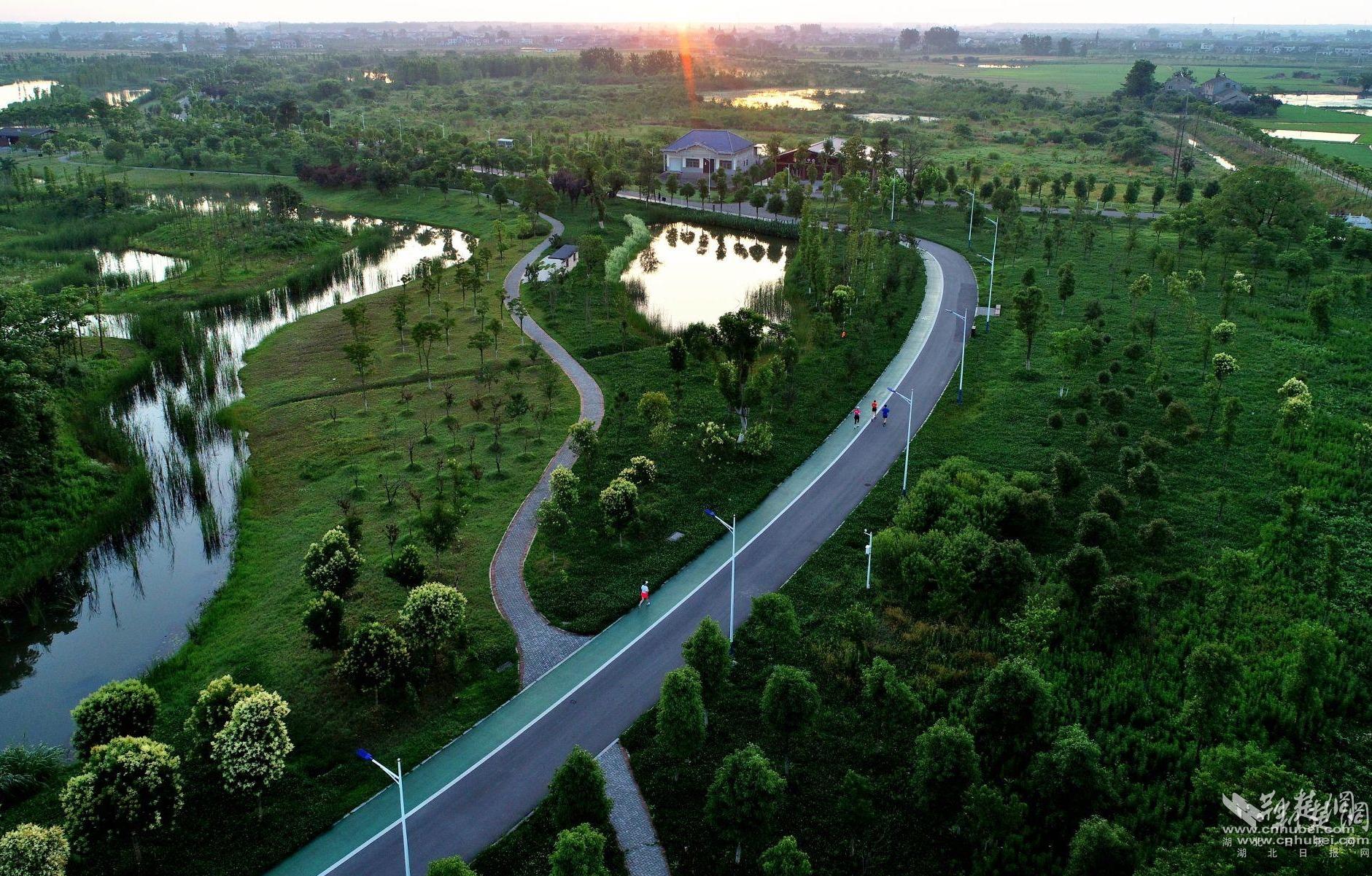 ae7eab9894b7bc3c629f0e2162df71ce_1881X1201_20240802224125