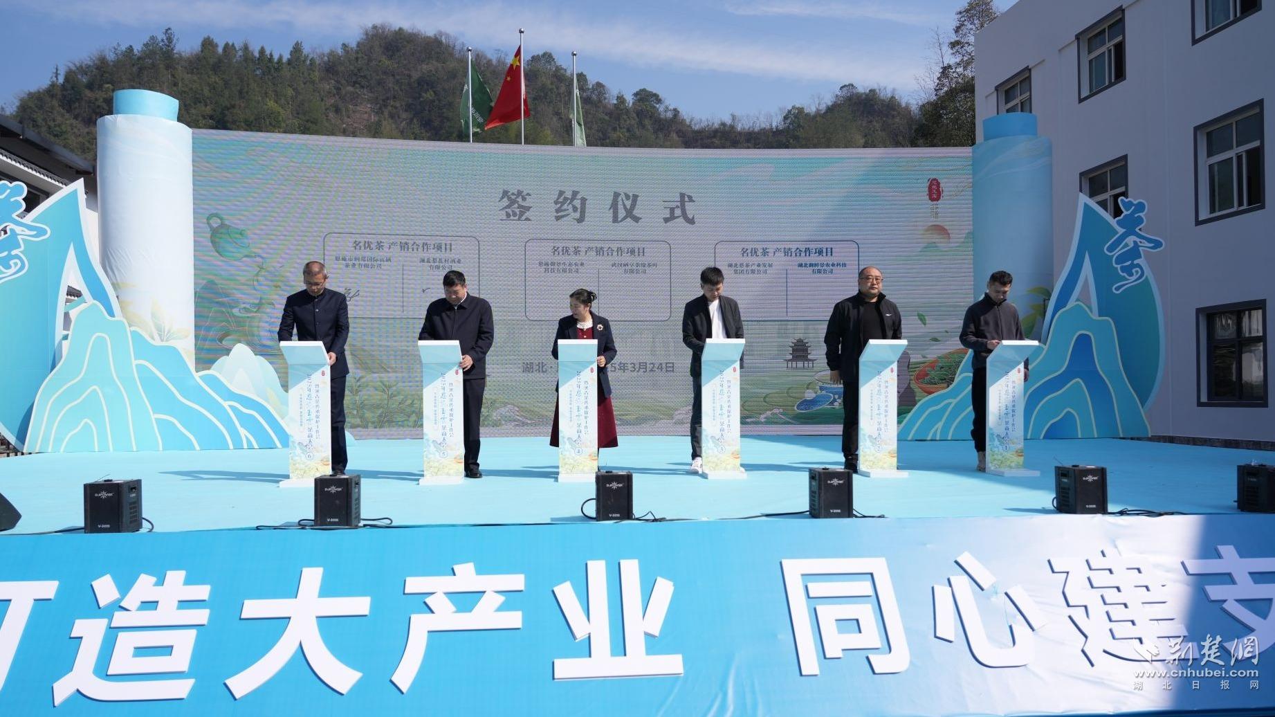 67137282fdeece396b25e0fb099cd88c_1843X1036_20250324224519