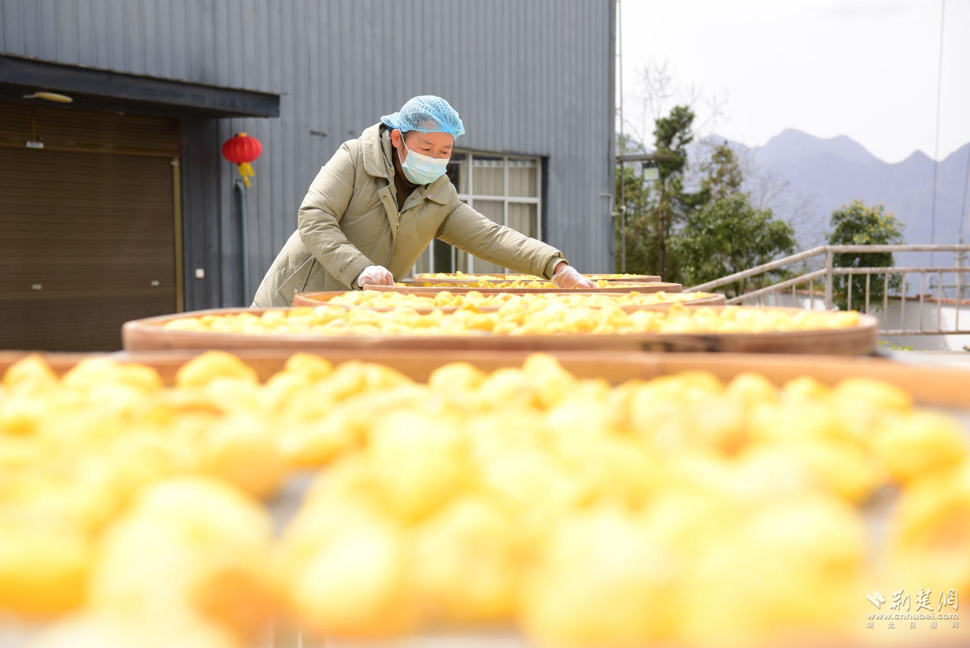 向作洲正在曬新制作的土豆果。 (2).JPG.JPG