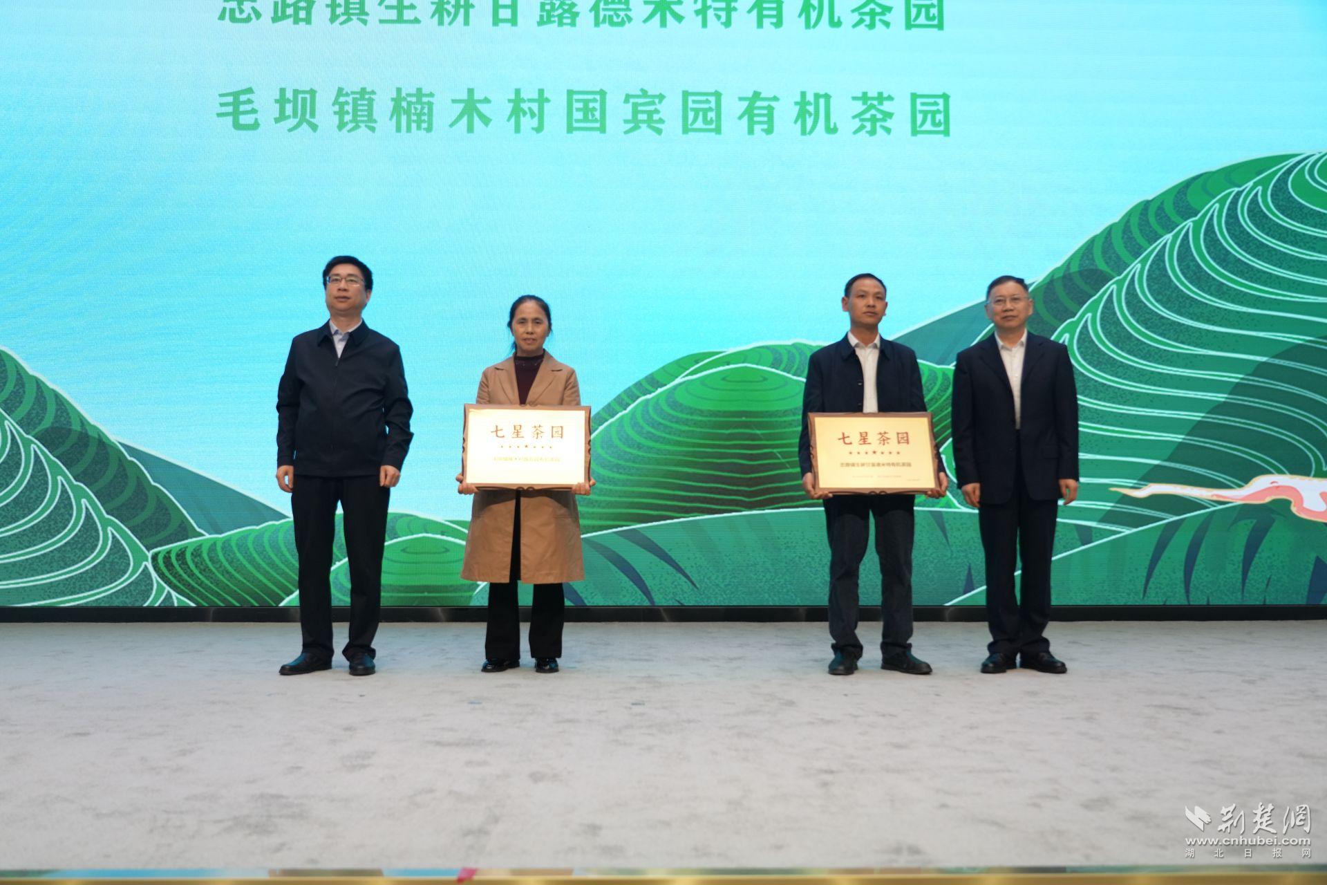 星級(jí)茶園授牌1.JPG.JPG