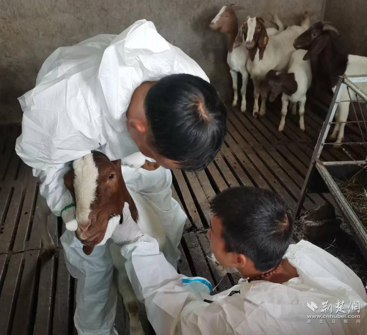 d3719790e9b6d2ab0402d98cd4241385_1254X1146_20250527102027