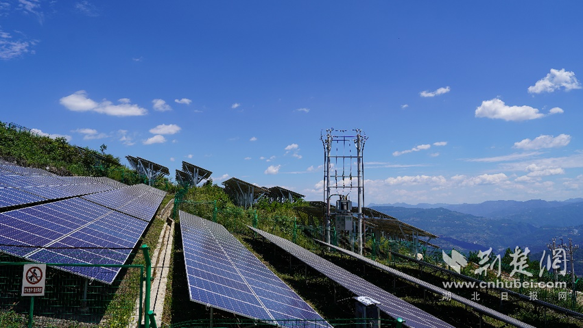 512628dc-7af2-441e-a536-913d4eedbe17