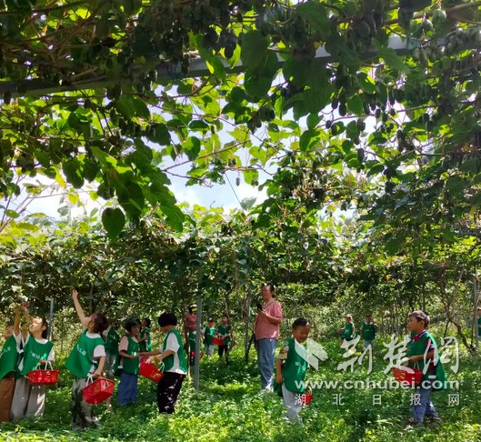 4ccaa8f600d63a0b8a85eb2378ca22f5_529X486_20250730205530