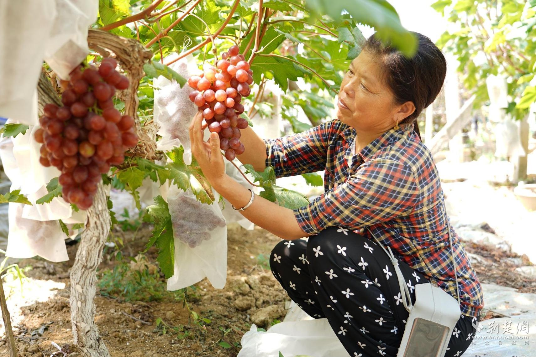 986383cc74b6761e40e570d1e42d6bb2_1710X1140_20250729210059