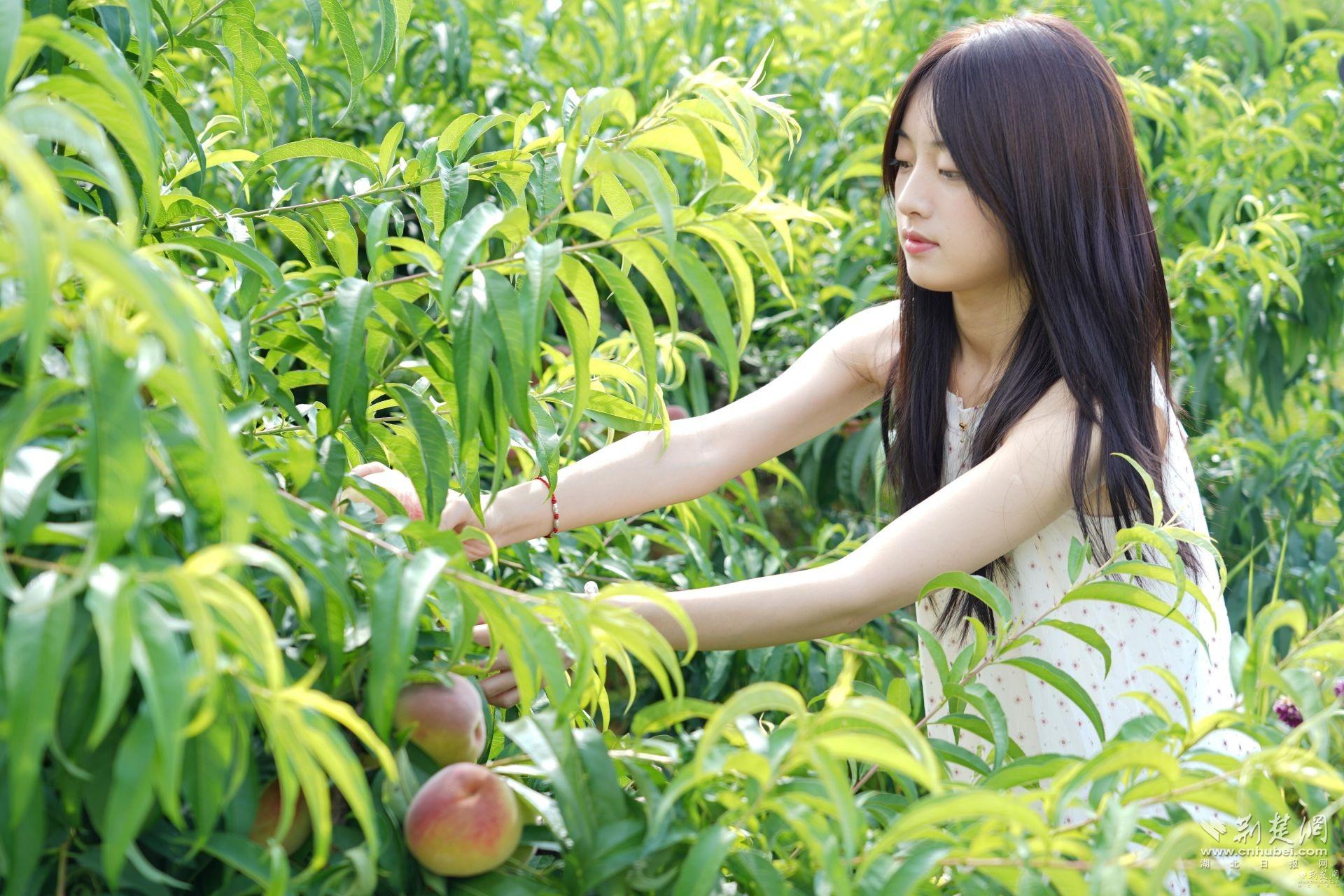 0234267699a5fb5cbe8c5e9abcd54ecb_1920X1280_20250729210201