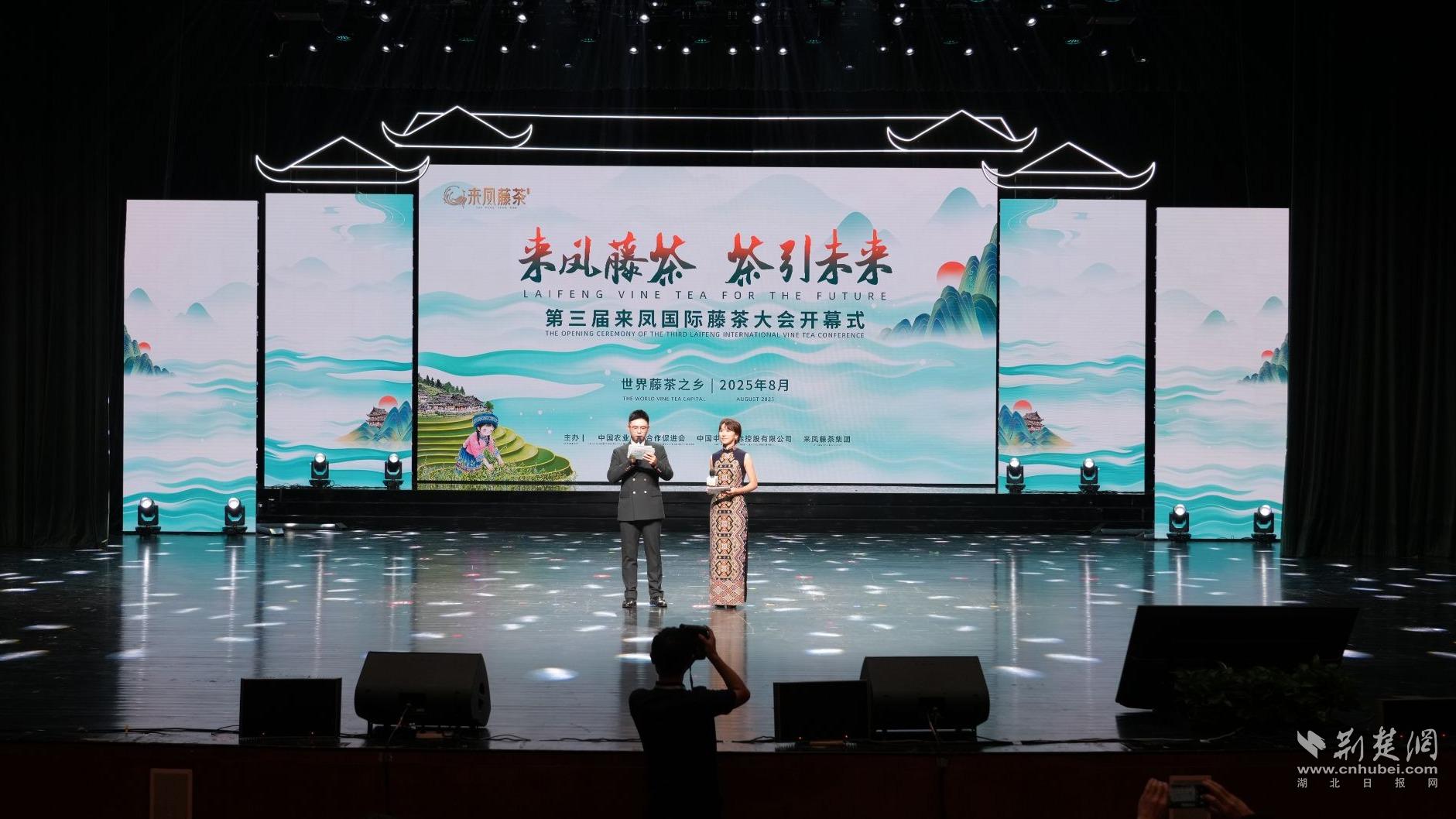 468f46fe069f73abecb1fa51cb8bab7c_1881X1058_20250801202048