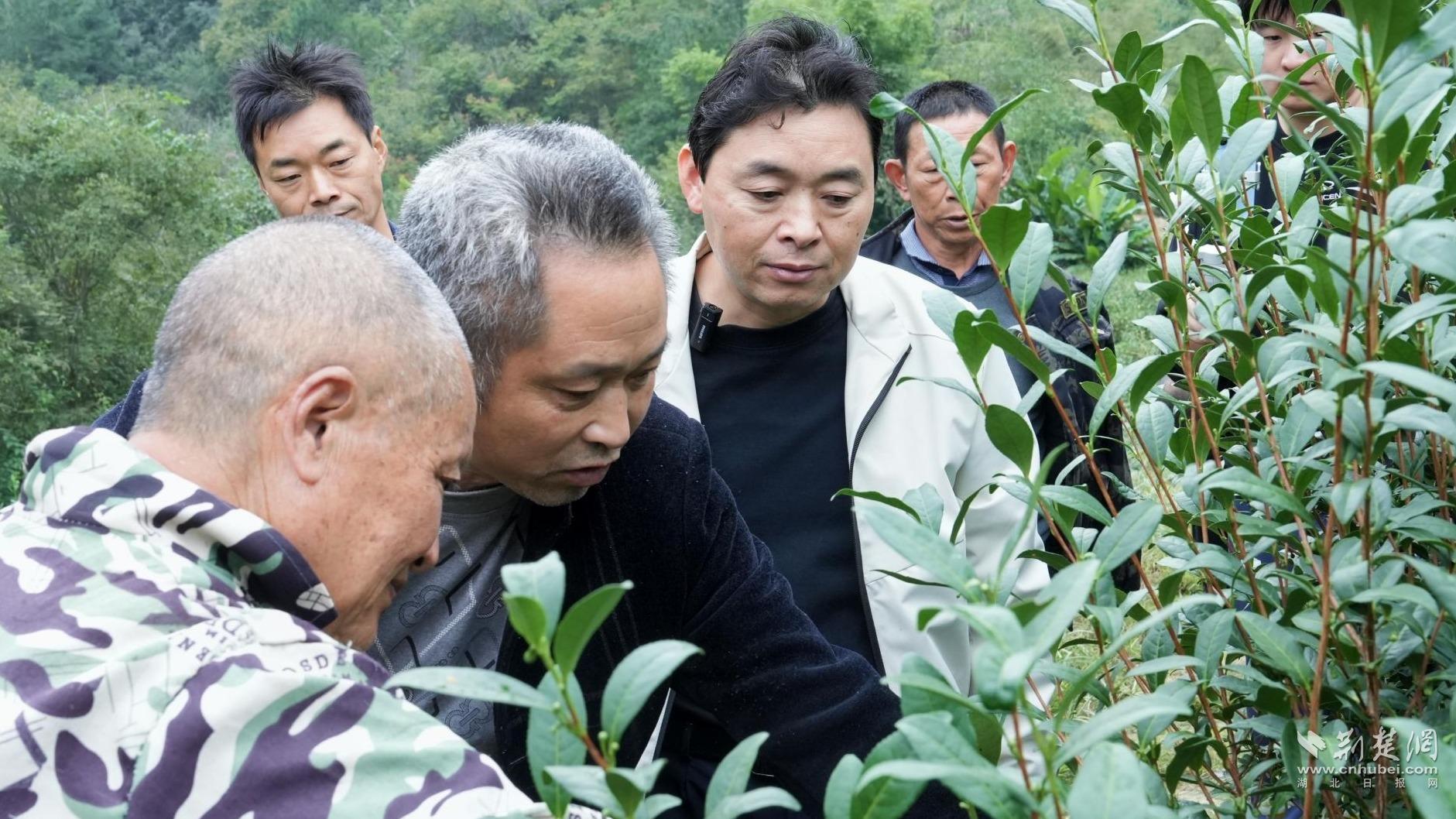 b1cb2b5a982aa765f3d794320994eb44_1881X1058_20251025220050