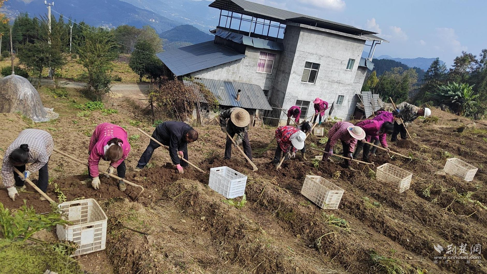 b1bb98c9036f228398474b99a0f4ad9b_1881X1058_20251105212532