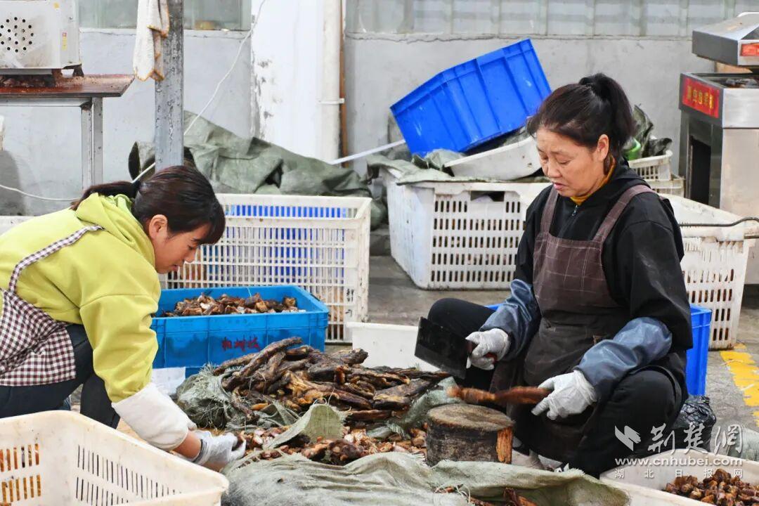 640?wx_fmt=jpeg&from=appmsg&tp=wxpic&wxfrom=5&wx_lazy=1#imgIndex