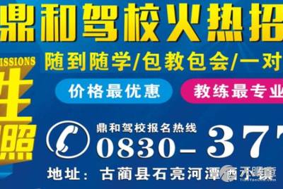 淄川司機(jī)招聘信息詳解，應(yīng)聘指南與步驟全解析