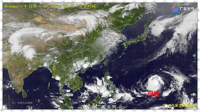 臺風(fēng)瑪娃逆風(fēng)成長與力量展現(xiàn)的最新動態(tài)