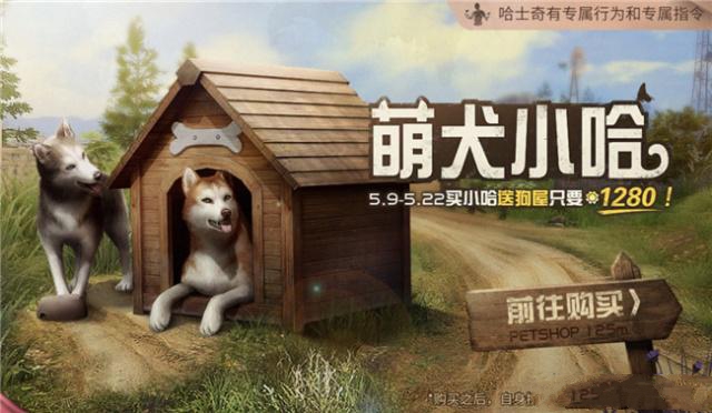 新型寵物風(fēng)潮，另類寵物的興起、爭(zhēng)議與介紹