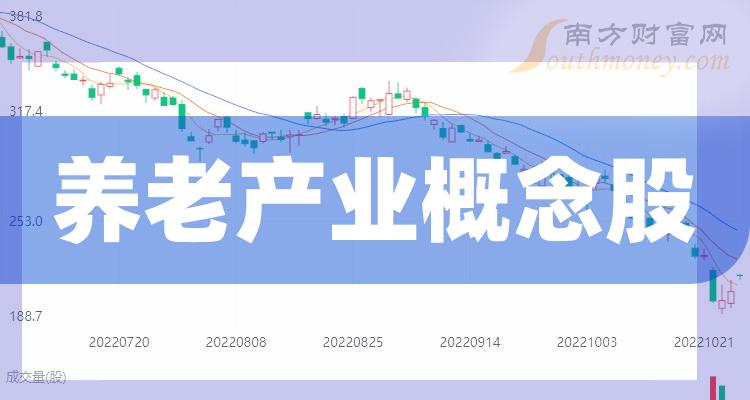 養(yǎng)老上市公司，小巷中的隱秘寶藏與特色小店的無(wú)限魅力探索