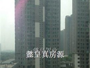 洛陽泉舜房價(jià)最新動態(tài)全面解析，如何獲取與理解房價(jià)走勢及最新消息
