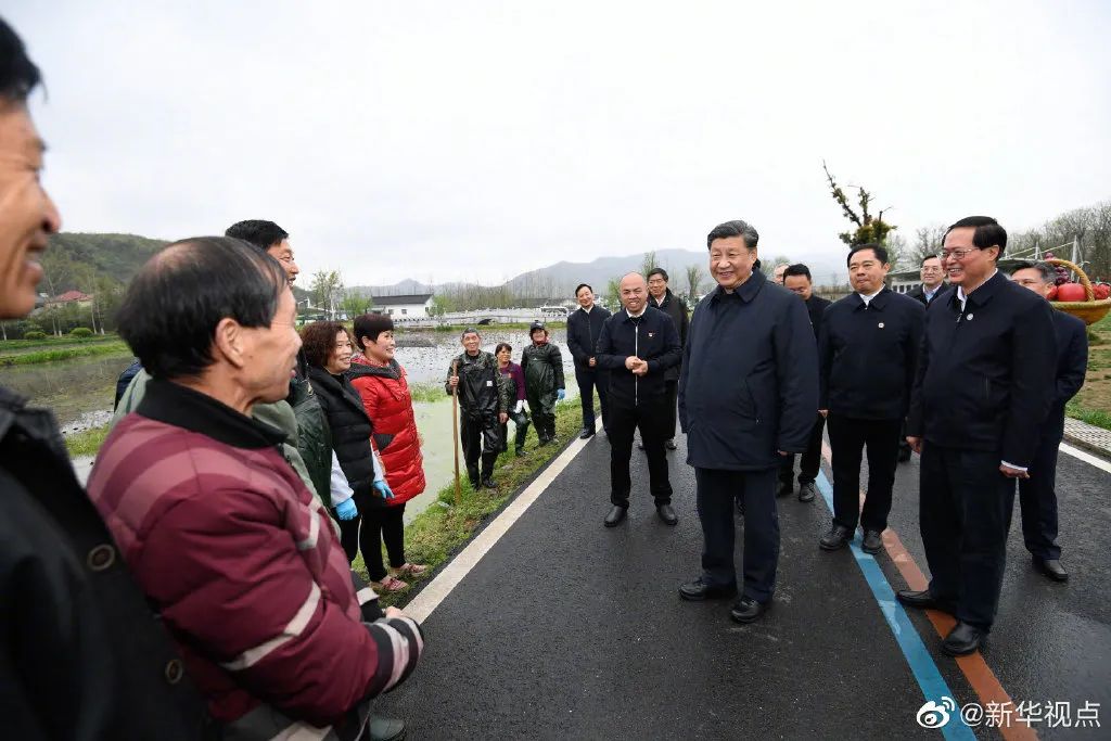 至2025年，馬中林最新動(dòng)態(tài)與未來(lái)發(fā)展趨勢(shì)解析