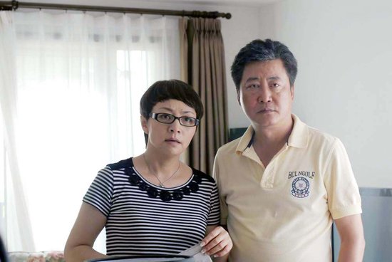趙寶剛最新電視劇深度解析與探討，新劇探討與探討