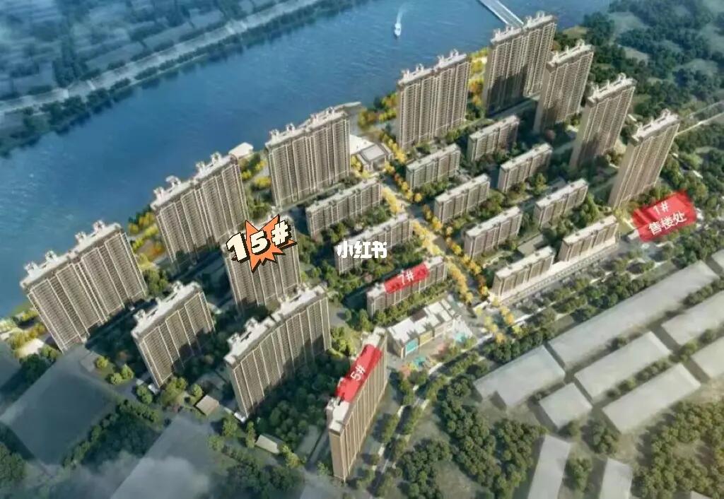 阜寧帝逸國際最新信息一覽，概覽與詳述