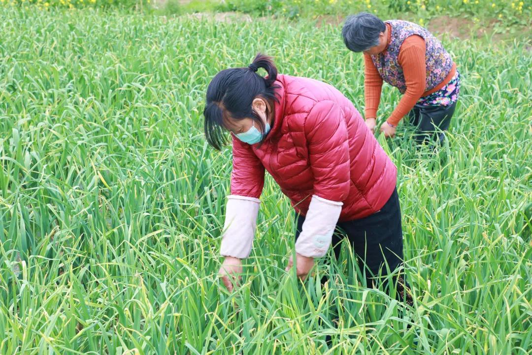 辦公打印 第12頁(yè)