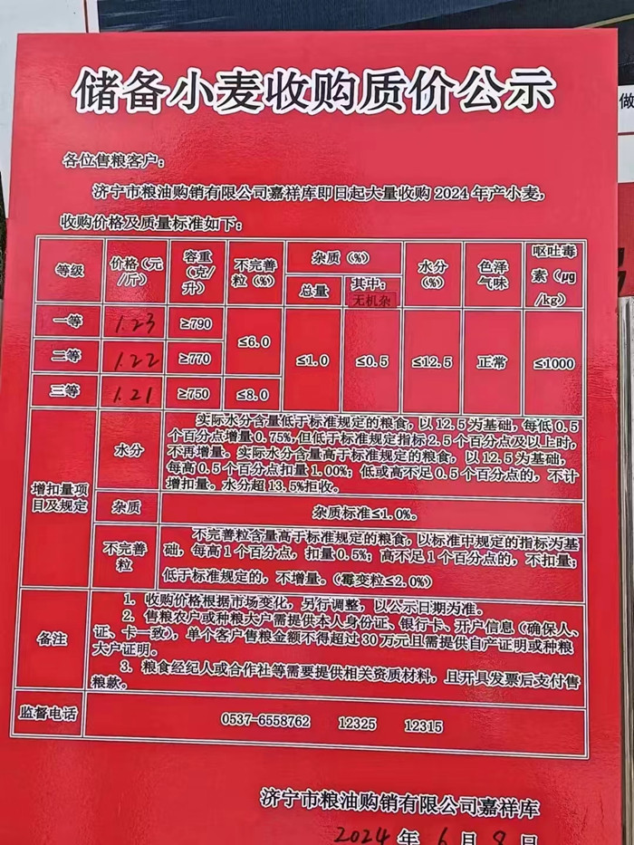 濟(jì)寧小麥最新價(jià)格行情詳解及獲取價(jià)格走勢(shì)的方法指南